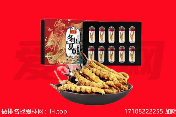 灵石县回收虫草.jpg